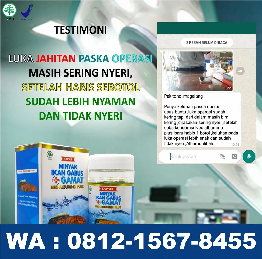 0812-1567-8455 Grosir Neo Albumino Plus Di Maluku Utara