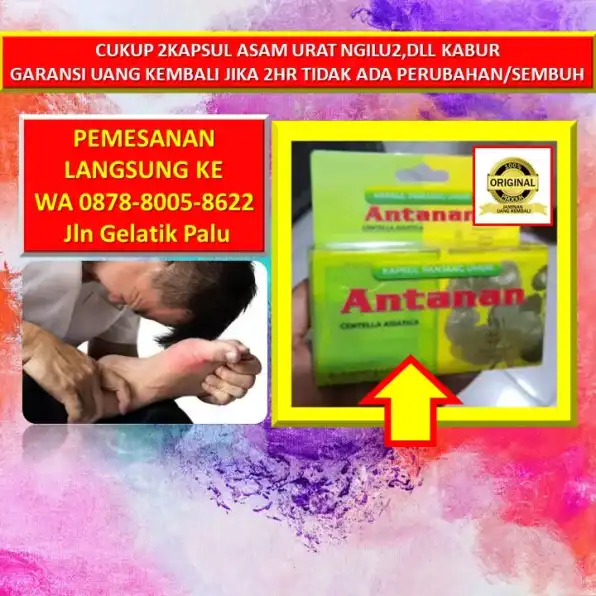 WA: 0878-8005-8622 Obat Alami Menghilangkan Kolesterol Di Kota Palu