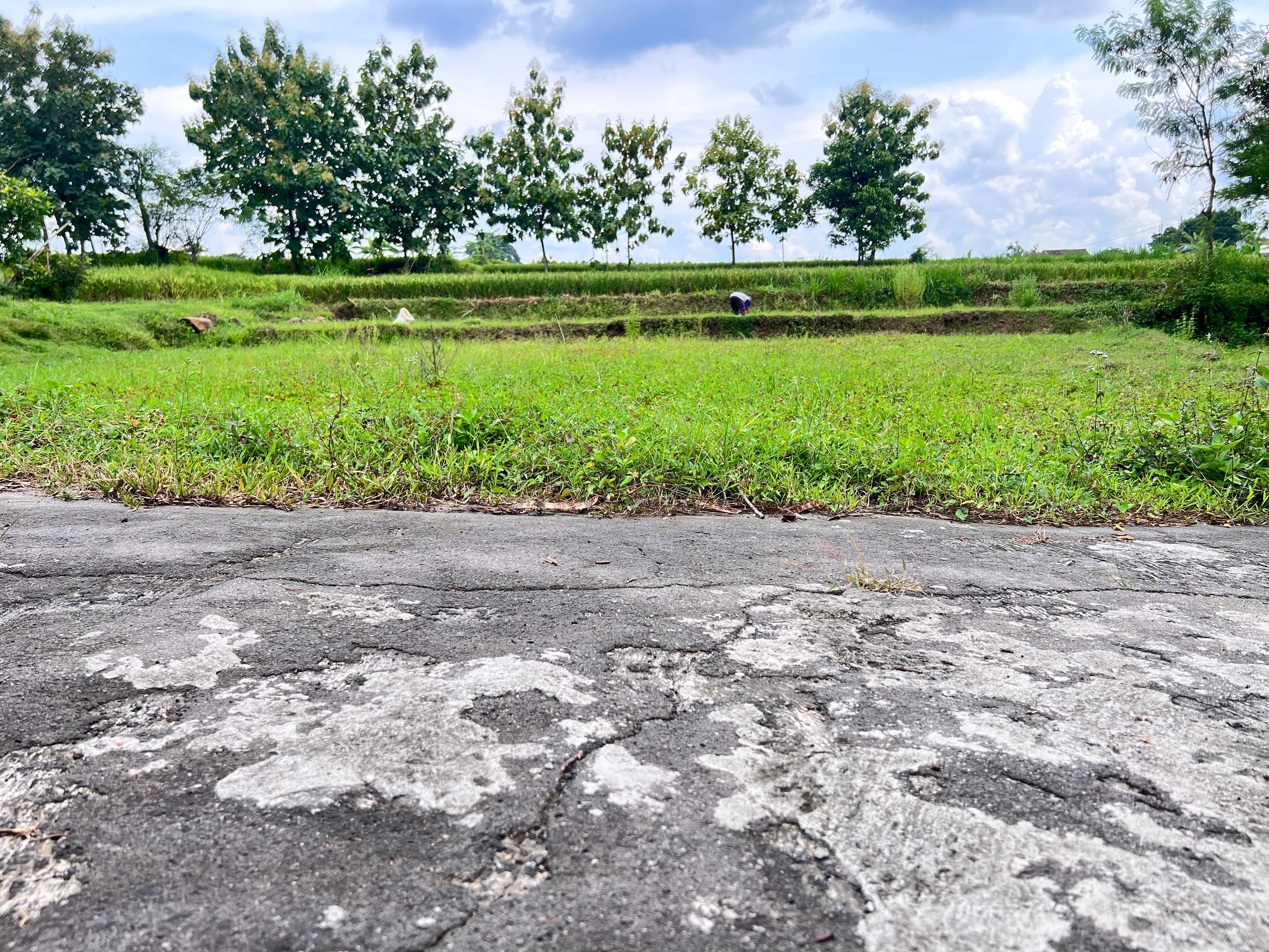 Dijual Tanah Siap dibangun Datar Mojogedang Karanganyar