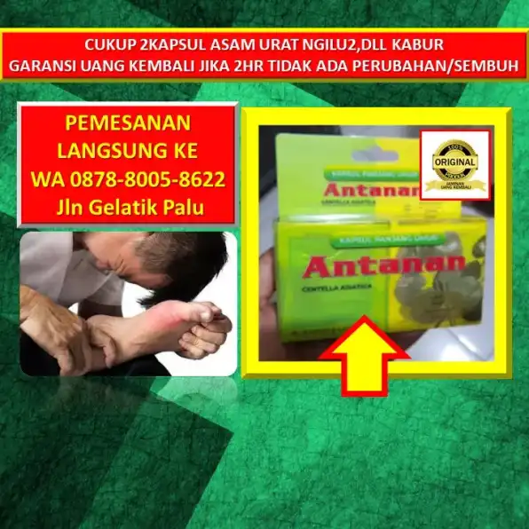 0878-8005-8622 Obat Alami Kolesterol Bagi Wanita Hamil Di Kota Palu