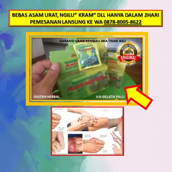 0878-8005-8622 Obat Alami Kolesterol Dan Asam Lambung Di Kota Palu