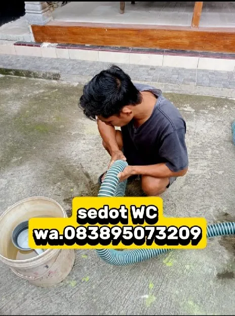 nyedot WC bumiayu