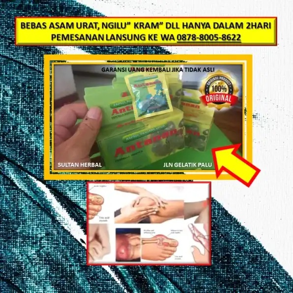 0878-8005-8622 Obat Asam Urat Pada Tangan Di Kota Palu