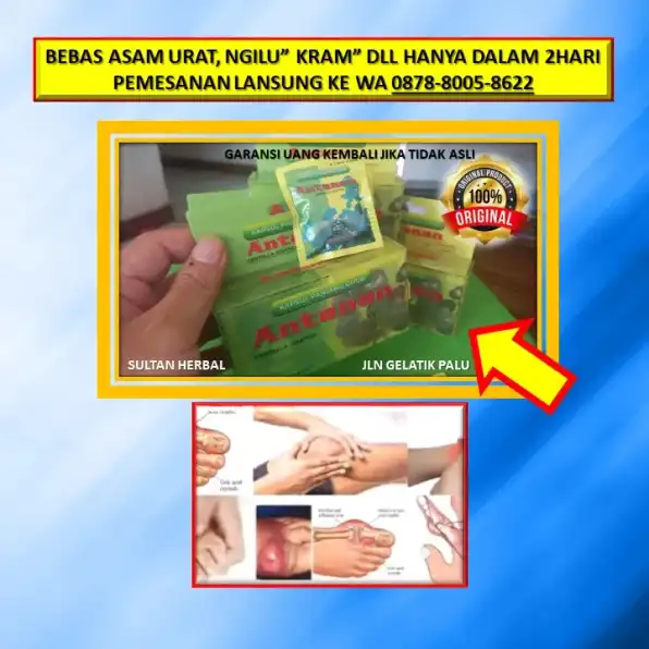 0878-8005-8622 Obat Kolesterol Dan Asam Urat Dr. Zaidul Akbar Di Kota Palu