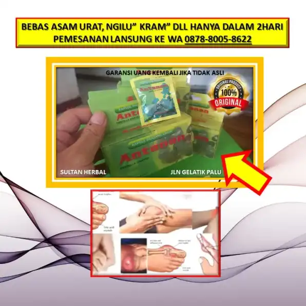 WA: 0878-8005-8622 Obat Kolesterol Obat Kolesterol Di Kota Palu