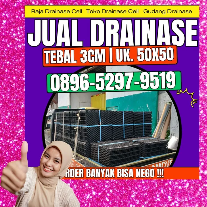 0896-5297-9519 (Bu Diana), Agen Drainage Cell Pandeglang Picung