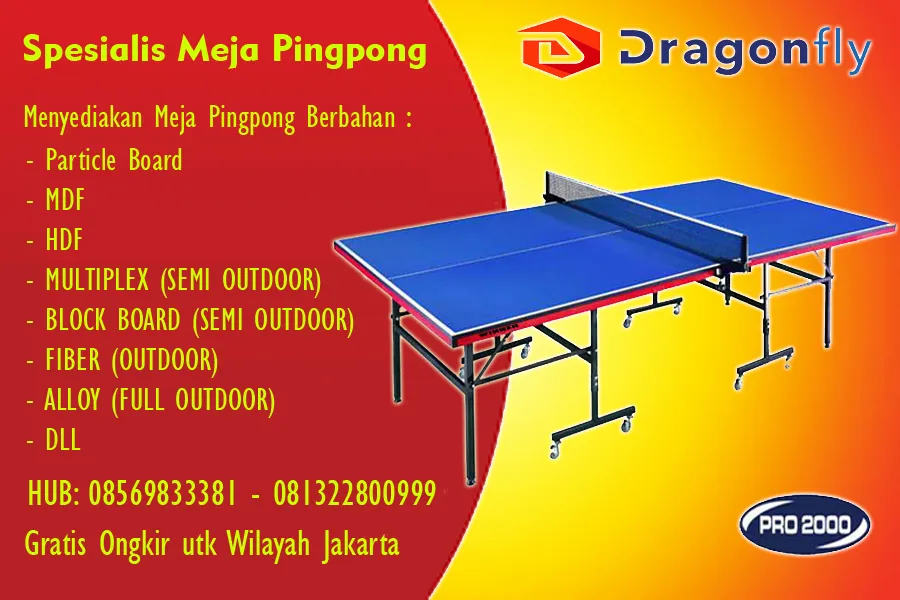 tenis meja pingpong merk DRAGON FLY