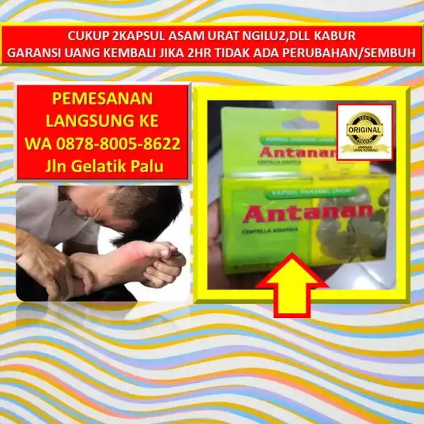 0878-8005-8622 Obat Encok Rematik Asam Urat Di Kota Palu