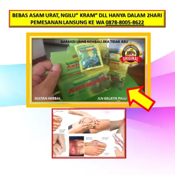 0878-8005-8622 Obat Kolesterol Yang Aman Untuk Lambung Di Kota Palu