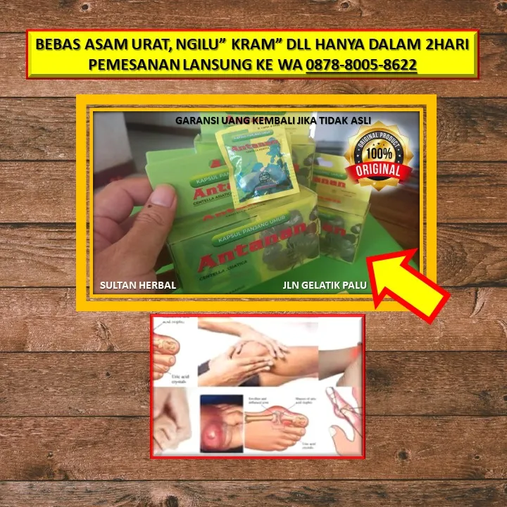 0878-8005-8622 Obat Asam Urat Ginjal Di Kota Palu