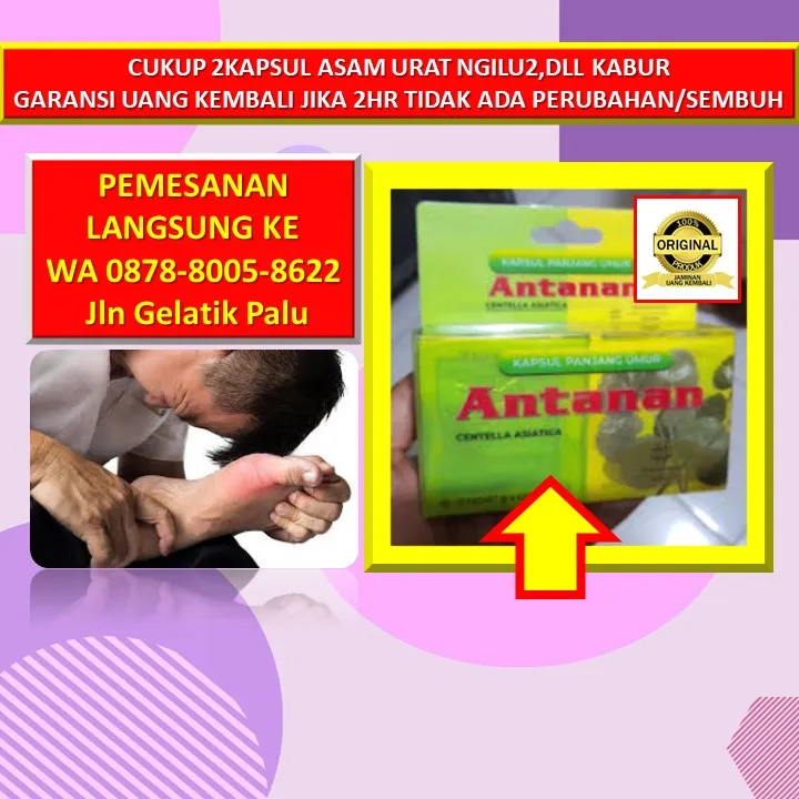 WA: 0878-8005-8622 Obat Kolesterol Baik Diminum Pagi Atau Malam Di Kota Palu