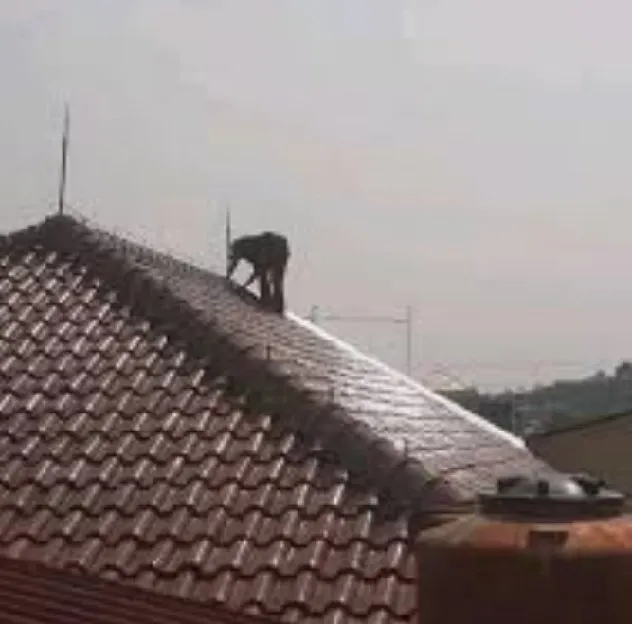 spesialis ahli jasa pasang anti penangkal petir Margaasih Margahayu bojongsoang Bandung
