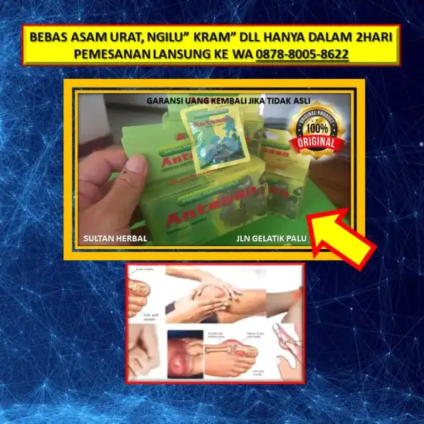 0878-8005-8622 Obat Alami Kolesterol Dan Asam Lambung Di Kota Palu