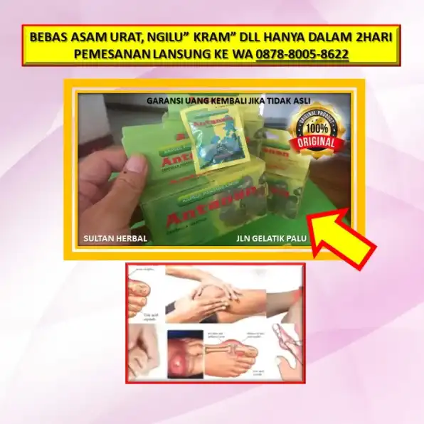 0878-8005-8622 Obat Asam Urat Di Tangan Di Kota Palu