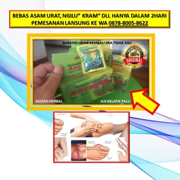 0878-8005-8622 Obat Asam Urat Samuraten Di Kota Palu