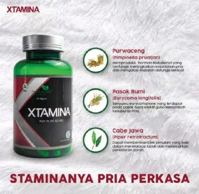 Xtamina Meningkatkan Stamina Pria