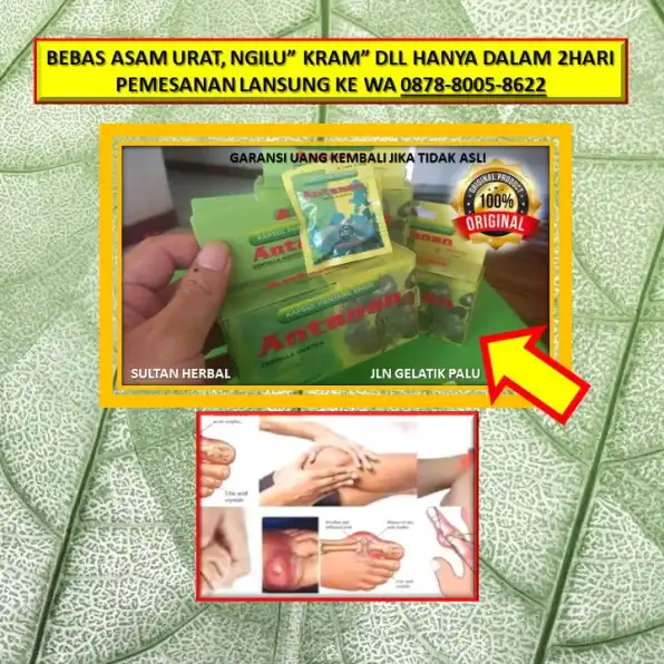 WA: 0878-8005-8622 Obat Asam Urat Satu Paket Di Kota Palu