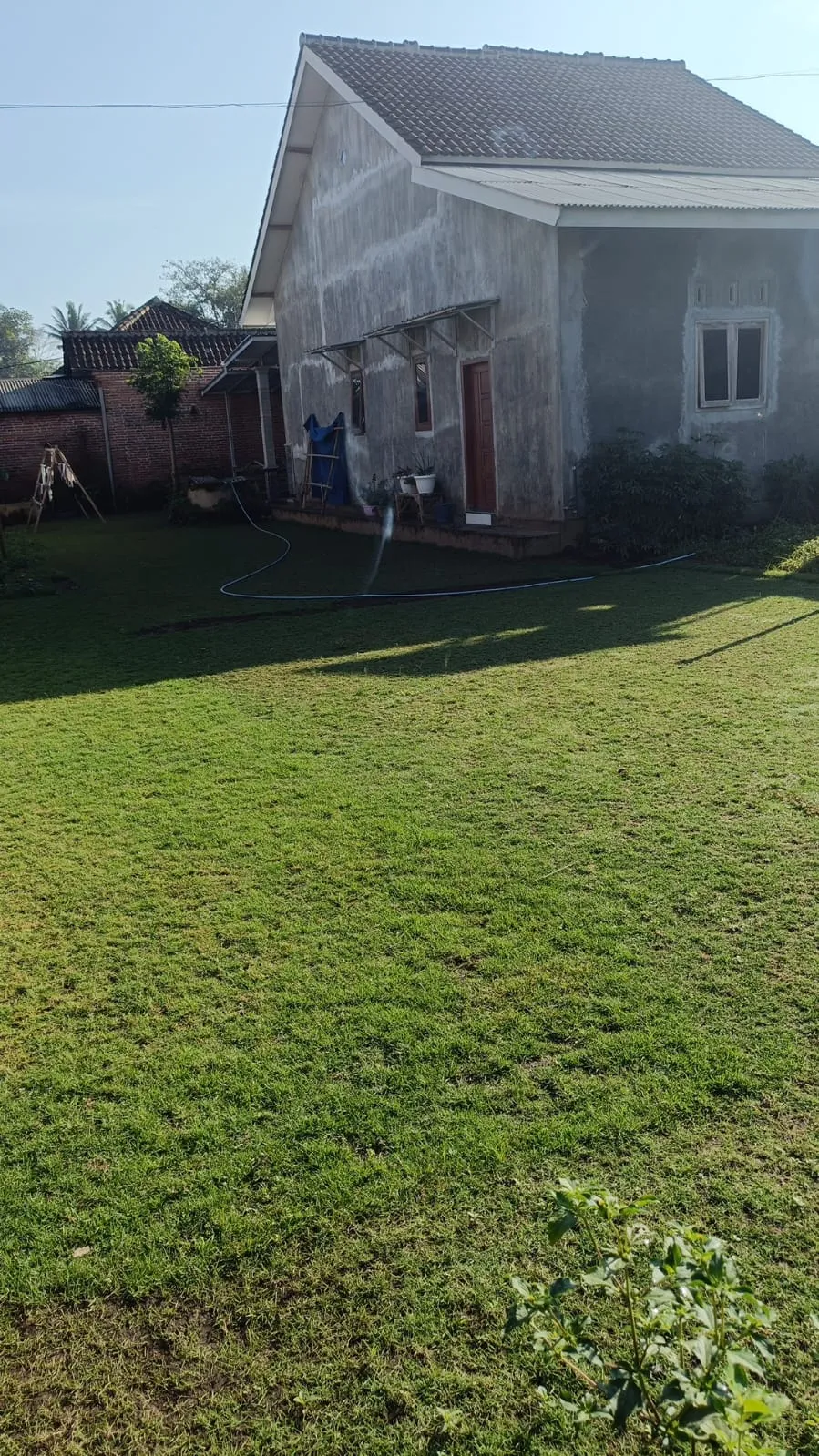 Jual Rumput Golf Tuban Terbaik