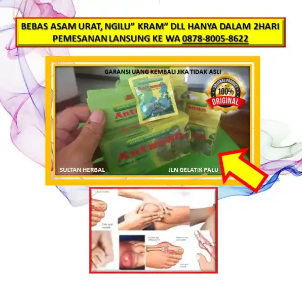 0878-8005-8622 Obat Kolesterol Generik Di Kota Palu