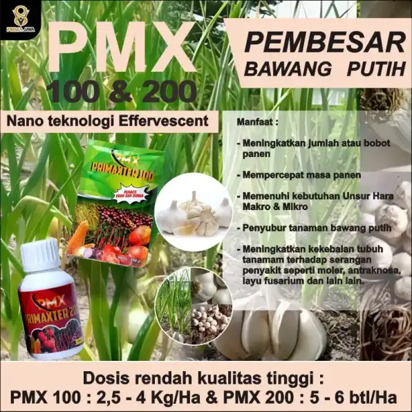 PMX 100& 200 PRIMAXTER  0822-3125-0851 (Bu Putri) Supplier Pupuk Cair Organik Untuk makanan tanaman  Bangkalan Pasuruan