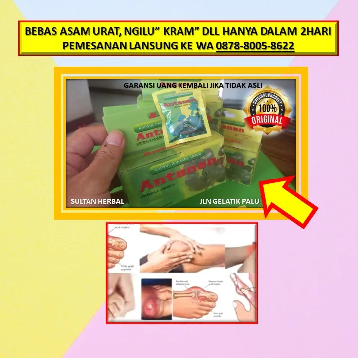 Obat Sakit Kaki Ngilu Di Kota Palu