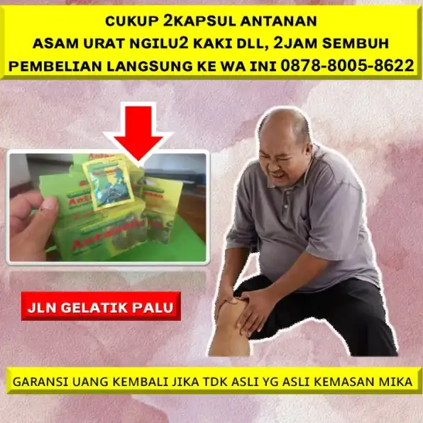 0878-8005-8622 Obat Alami Menurunkan Kadar Kolesterol Di Kota Palu