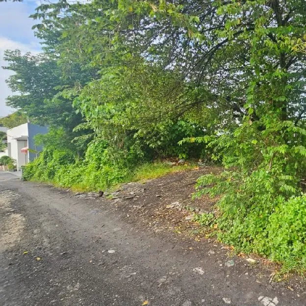 Dikontrakan & Dijual 4,55 are, Jl. Munduk Kalampuak Batu Bolong Subak Canggu Kuta Utara