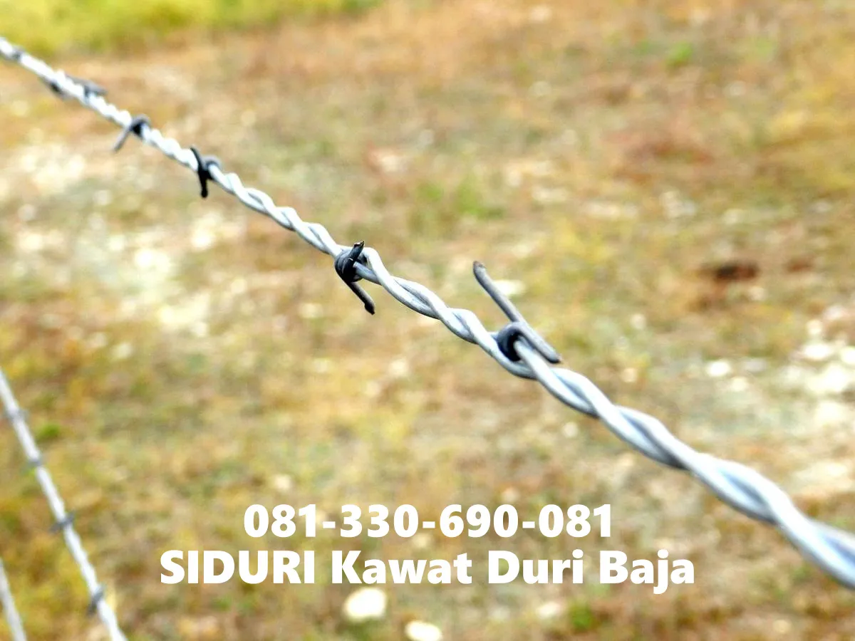 Mudah Dipasang! Siduri Kawat Duri Silet 1 Roll Berapa Meter Gubeng Surabaya Order ke 081-330-690-081 #8