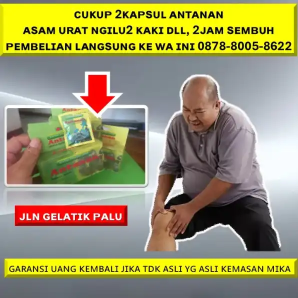 0878-8005-8622 Obat Alami Menurunkan Kadar Kolesterol Di Kota Palu