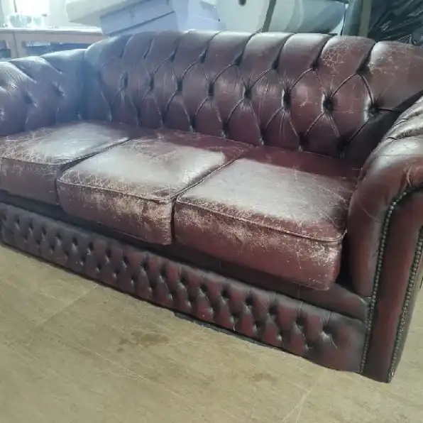 service sofa chesterfild