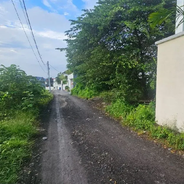 Dikontrakan & Dijual 4,55 are, Jl. Munduk Kalampuak Batu Bolong Subak Canggu Kuta Utara