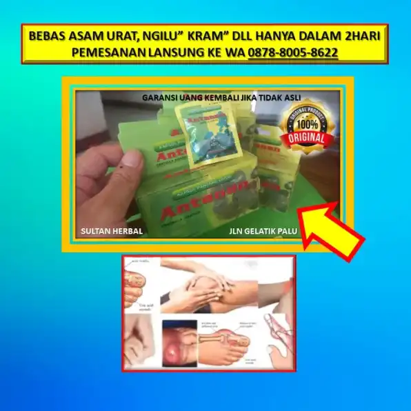 0878-8005-8622 Obat Asam Urat Untuk Penderita Jantung Di Kota Palu