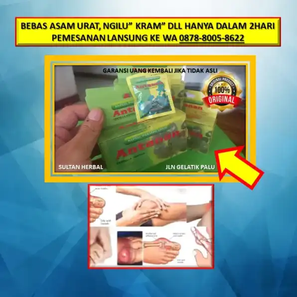 0878-8005-8622 Obat Alami Kolesterol Buat Ibu Hamil Di Kota Palu