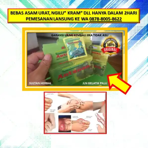 WA: 0878-8005-8622 Obat Asam Urat Berapa Kali Sehari Di Kota Palu