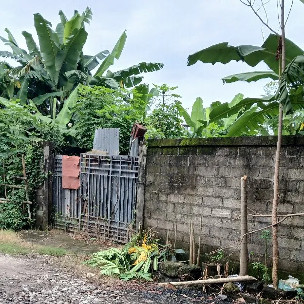 Dijual 4,8 are, Jl. Bung Tomo X Gatsu Barat Pemecutan Kaja Denpasar