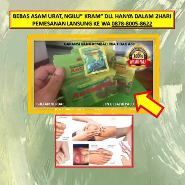 WA: 0878-8005-8622 Obat Asam Urat Dan Kolesterol Di Kota Palu