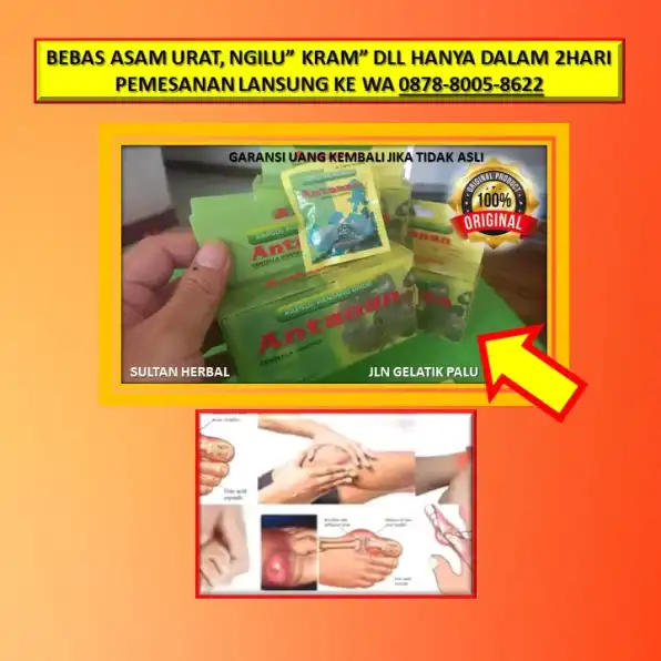 0878-8005-8622 Obat Alami Untuk Kolesterol Di Kota Palu