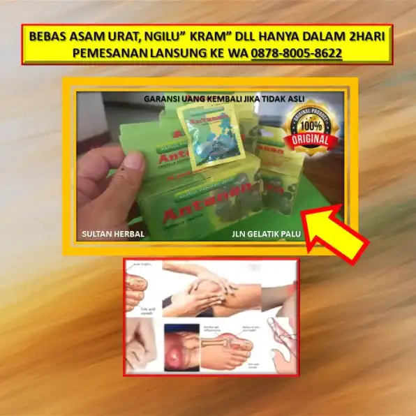 WA: 0878-8005-8622 Obat Asam Urat Dan Kolesterol Yang Paten Di Kota Palu