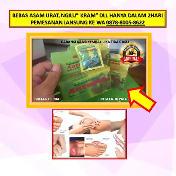 WA: 0878-8005-8622 Obat Asam Urat Untuk Orang Tua Di Kota Palu