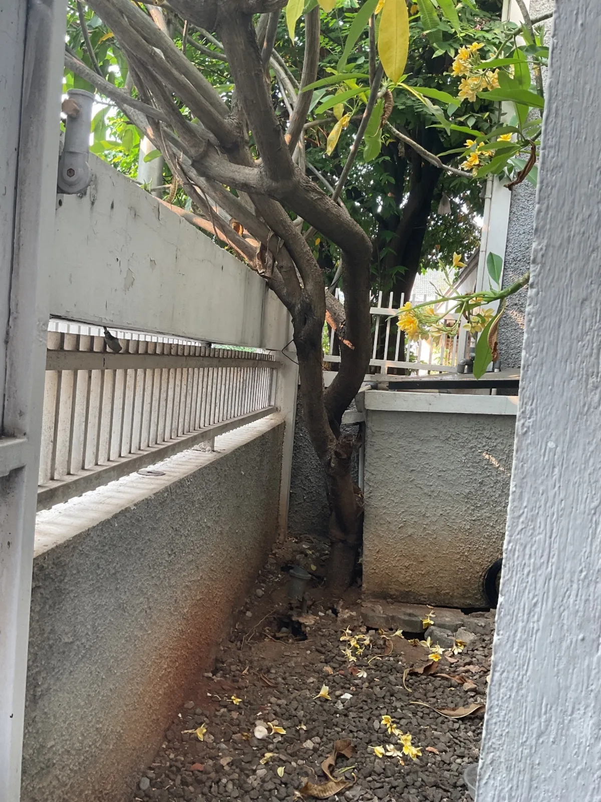 Dijual Rumah SHM 2 Lantai di Cempaka Putih Timur, Jakarta Pusat