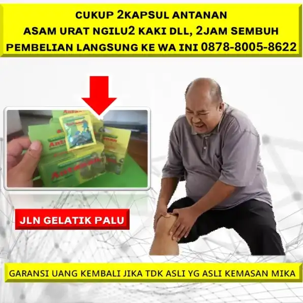 0878-8005-8622 Obat Alami Sakit Kolesterol Jahat Di Kota Palu