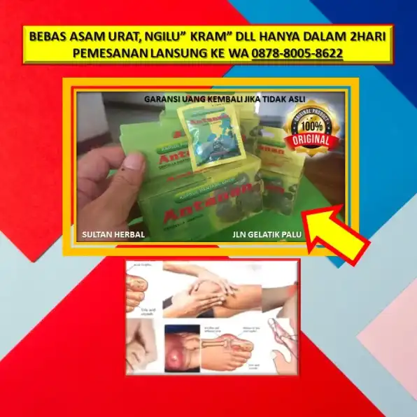 0878-8005-8622 Obat Alami Kolesterol Tinggi Dr Zaidul Akbar Di Kota Palu