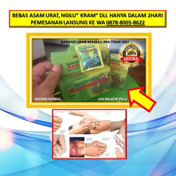 0878-8005-8622 Obat Alami Kolesterol Yang Ampuh Di Kota Palu