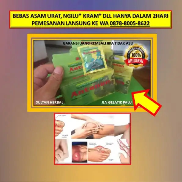 0878-8005-8622 Obat Kolesterol Alami Tradisional Di Kota Palu