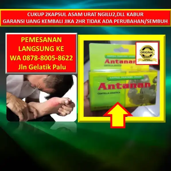 0878-8005-8622 Obat Alami Untuk Kolesterol Dan Darah Tinggi Di Kota Palu