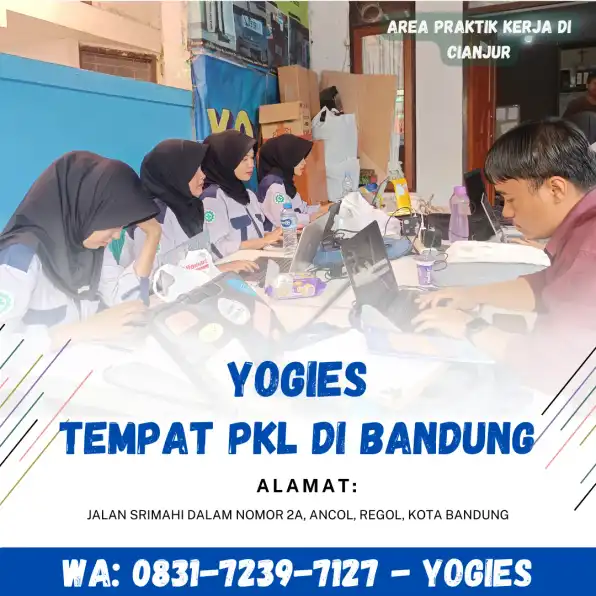 WA : 0831-7239-7127 ( YOGIES ) , Area Praktik Kerja  Di Cianjur , Jurusan Akutansi