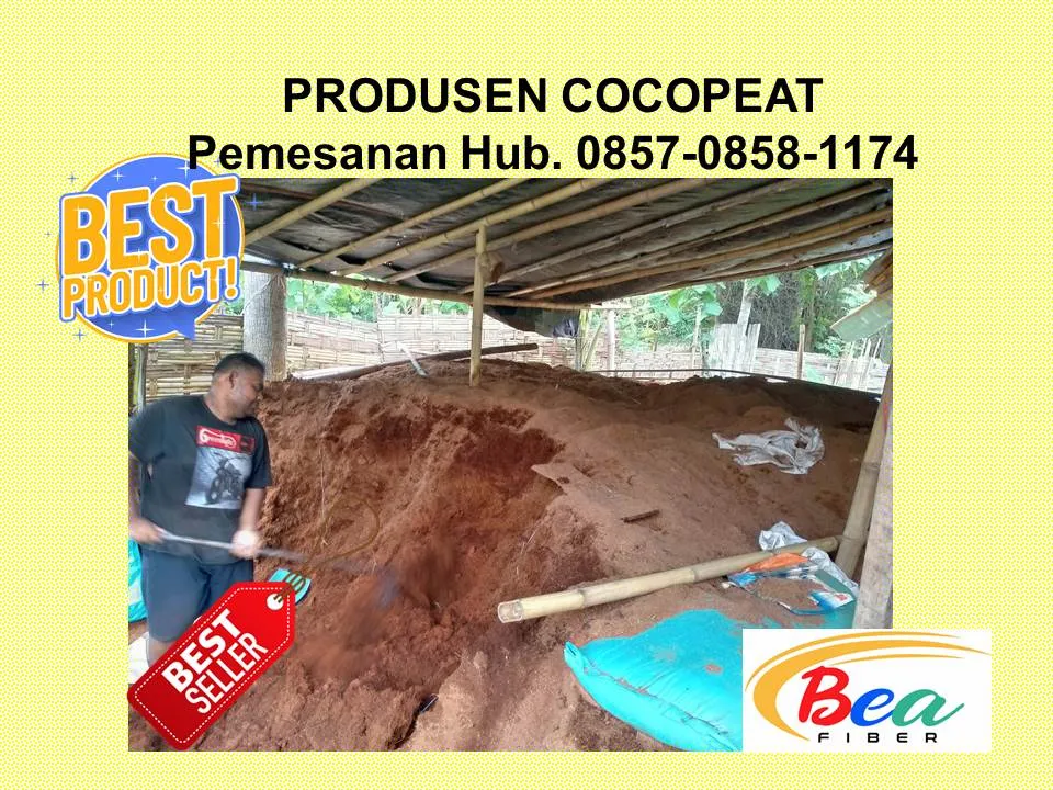 Pabrik Cocopeat Untuk Media Tanam Organik di Apartemen Banyuwangi Sidoarjo BEA FIBER