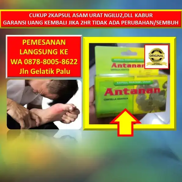 WA: 0878-8005-8622 Obat Asam Urat Aman Untuk Ibu Menyusui Di Kota Palu