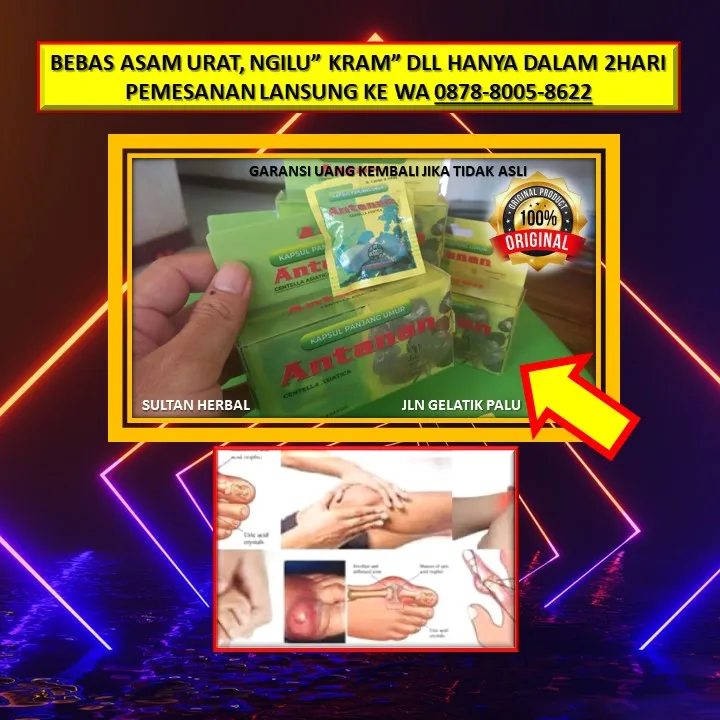 WA: 0878-8005-8622 Obat Kolesterol Asam Urat Di Kota Palu