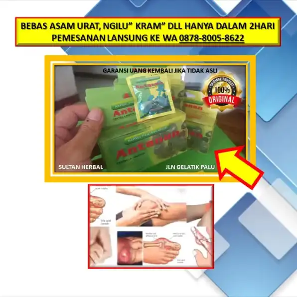 0878-8005-8622 Obat Alami Kolesterol Dan Darah Rendah Di Kota Palu